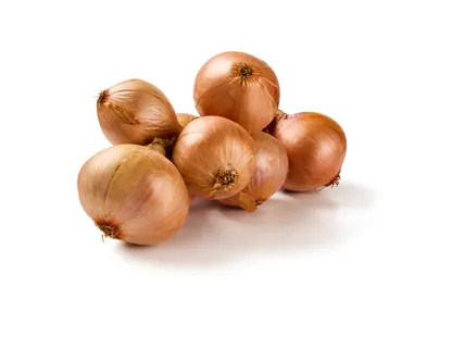 Лук