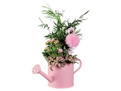Цветен микс